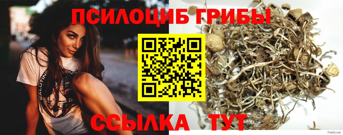 Чехов  наркотики  Вход с VPN  Галлюциногенные грибы мицелий  Псилоцибиновые грибы MAGIC MUSHROOMS 
